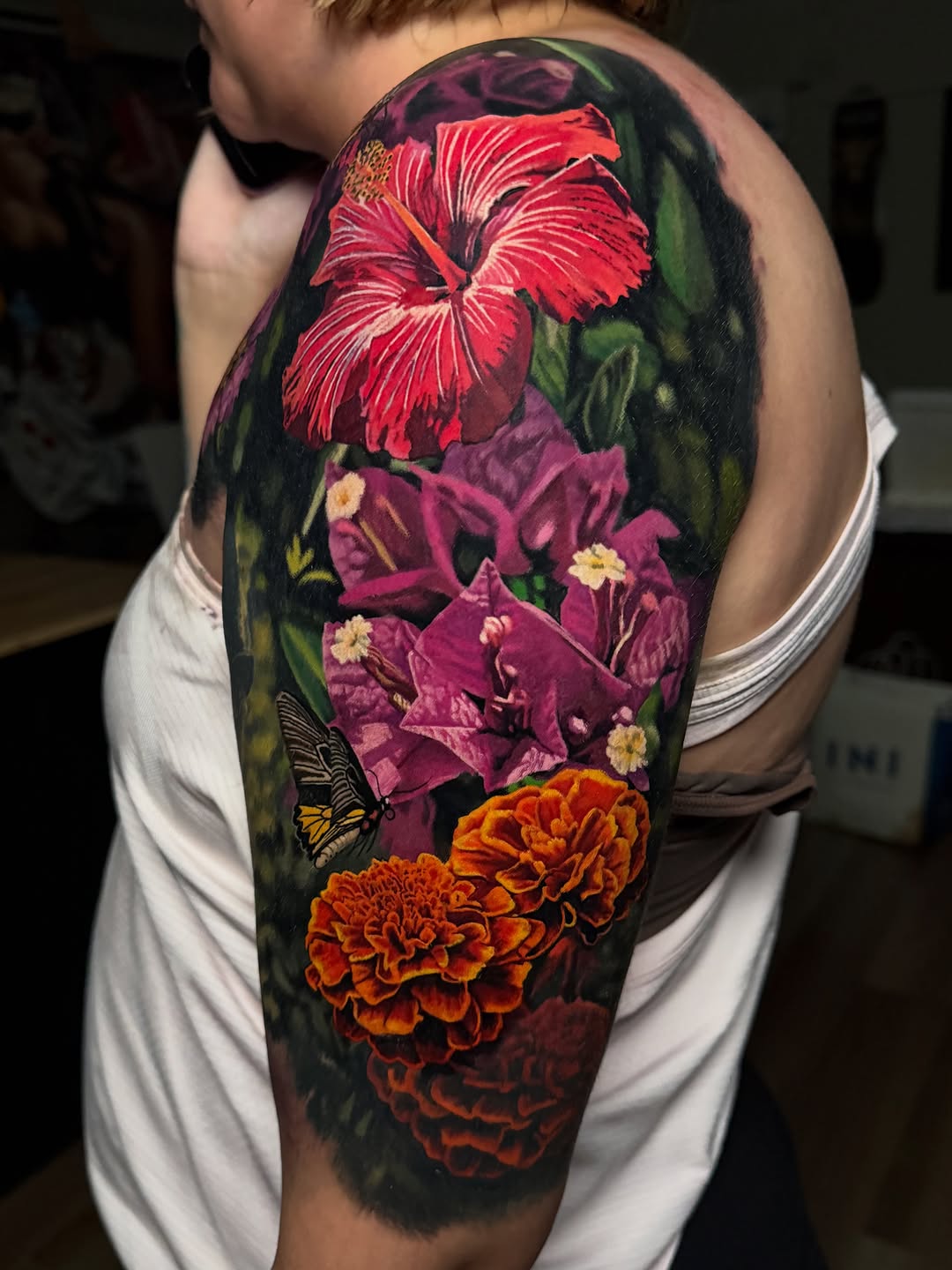 Flower, Nature, 히비스커스