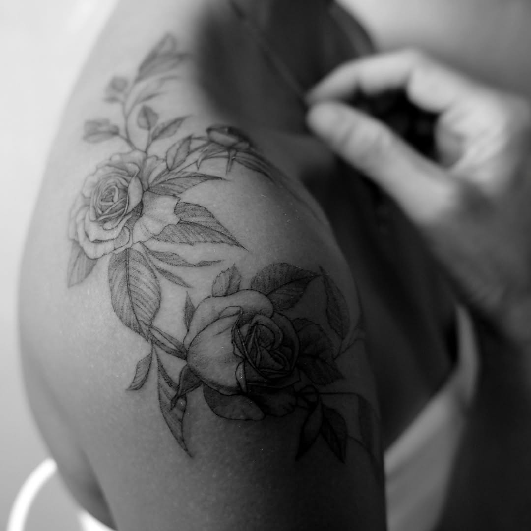 Flower, Rose, Nature