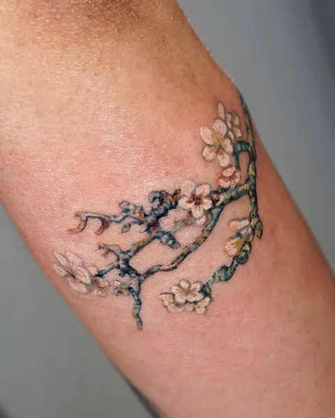 Nature, 벚꽃, Flower