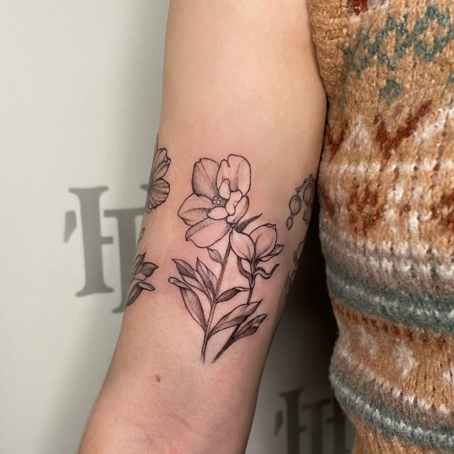 Flower, Rose