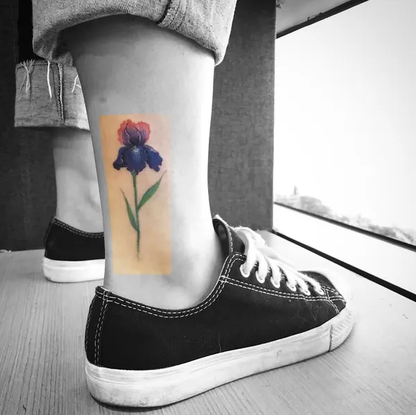 아이리스, Flower, 양귀비