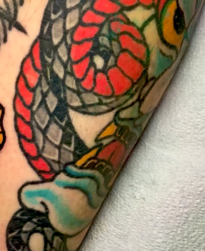 Dragon