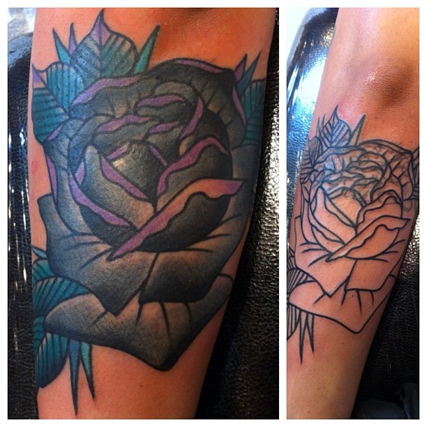 Flower, Rose
