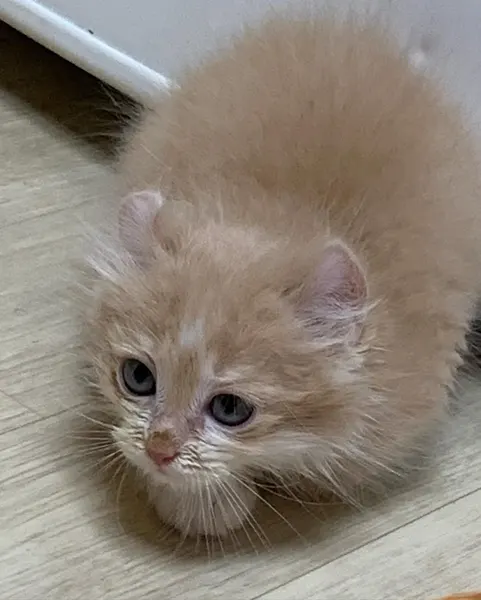 Milo._.club