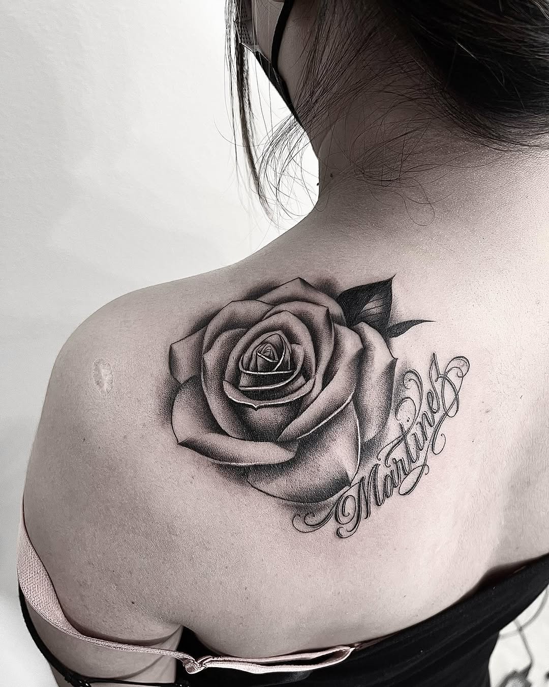Flower, Rose, Nature