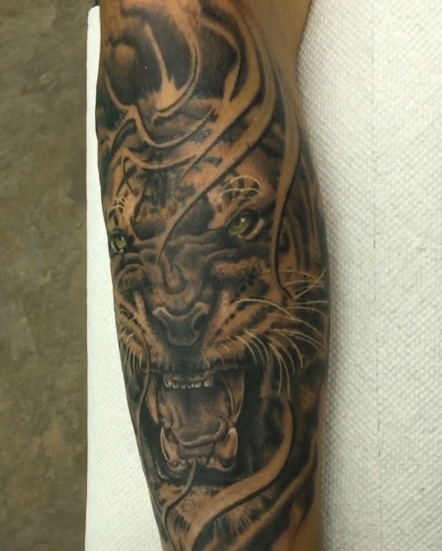 Tiger