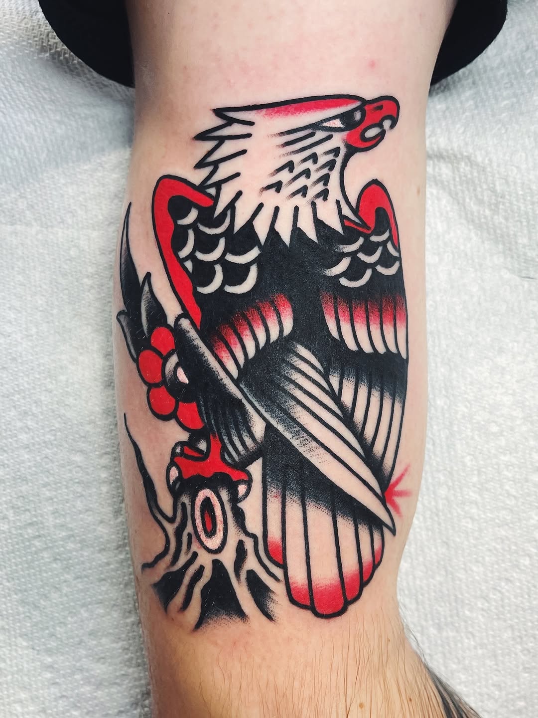 darius_cappelli