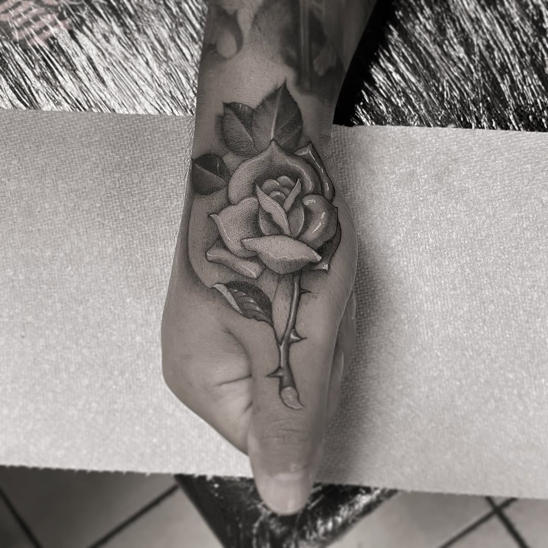 Flower, Rose