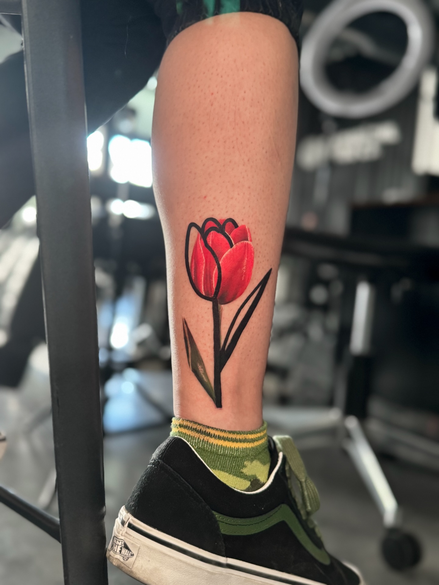 Flower, 튤립