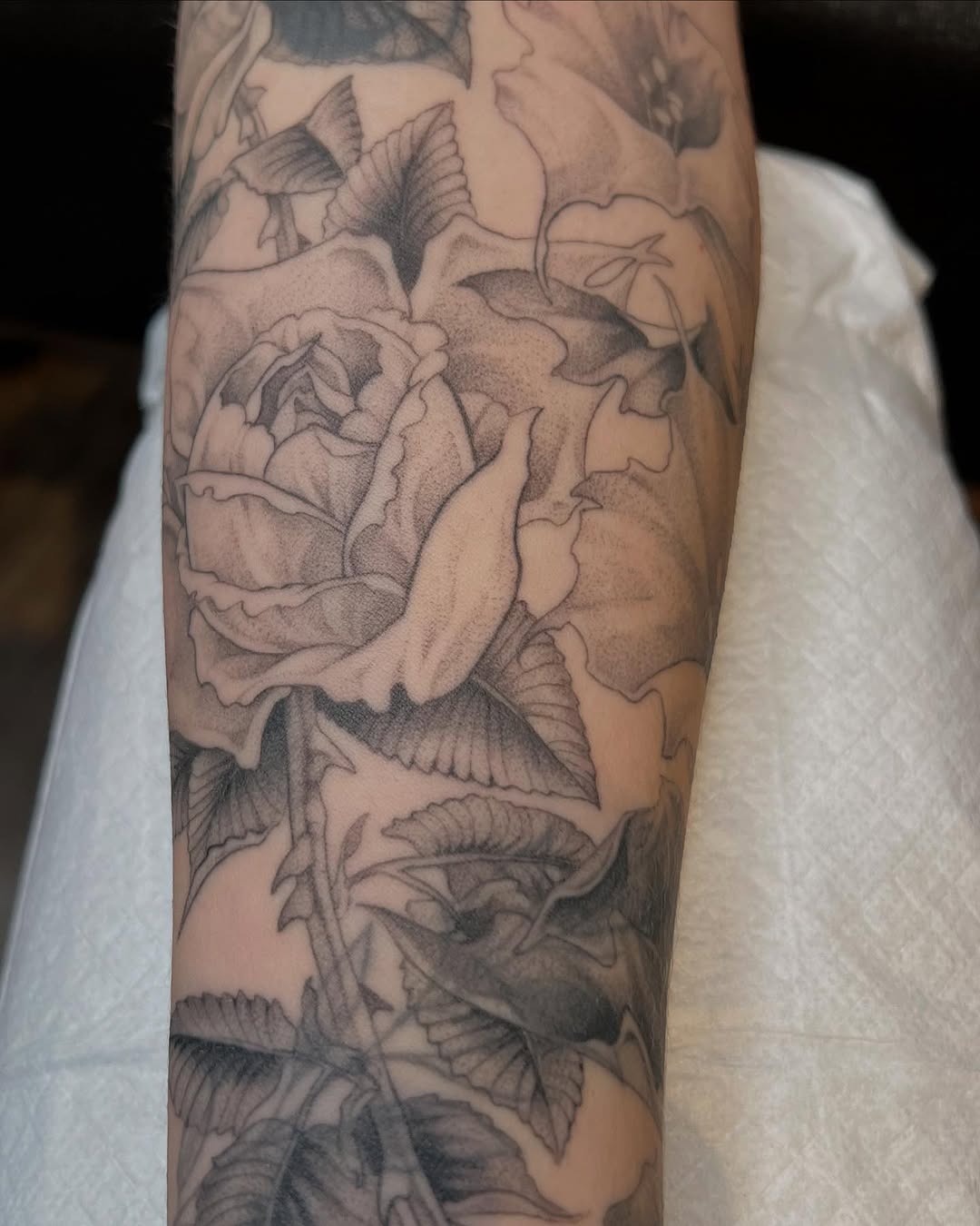 Flower, Rose