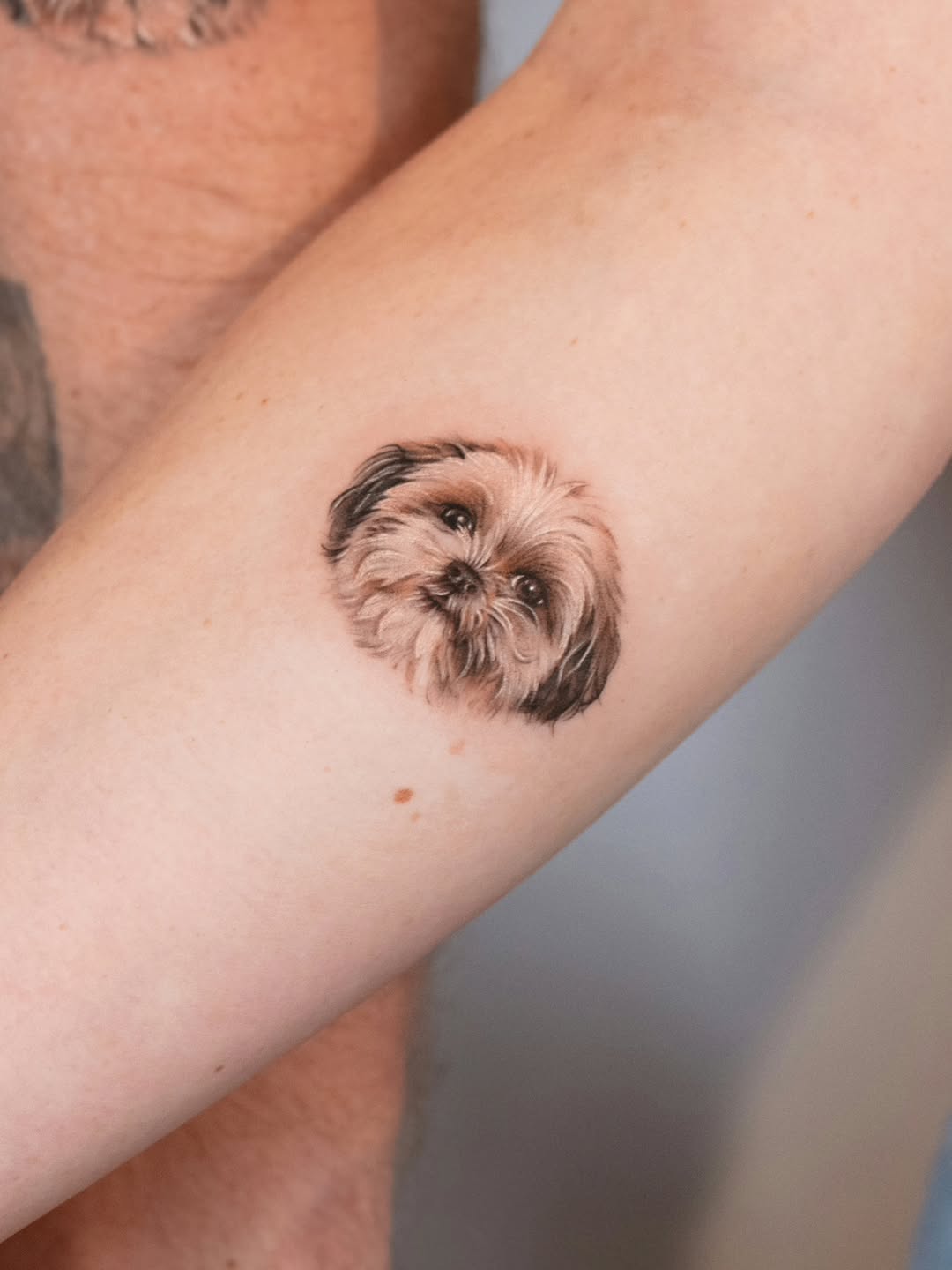 tattooist_toma
