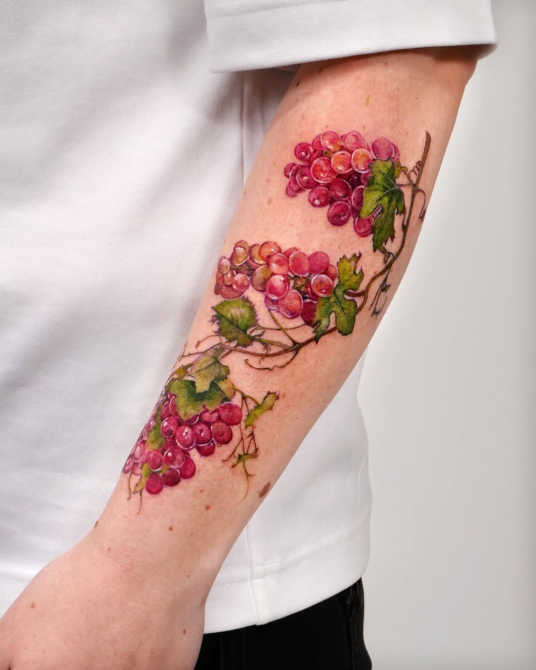 Flower, Rose, 포도