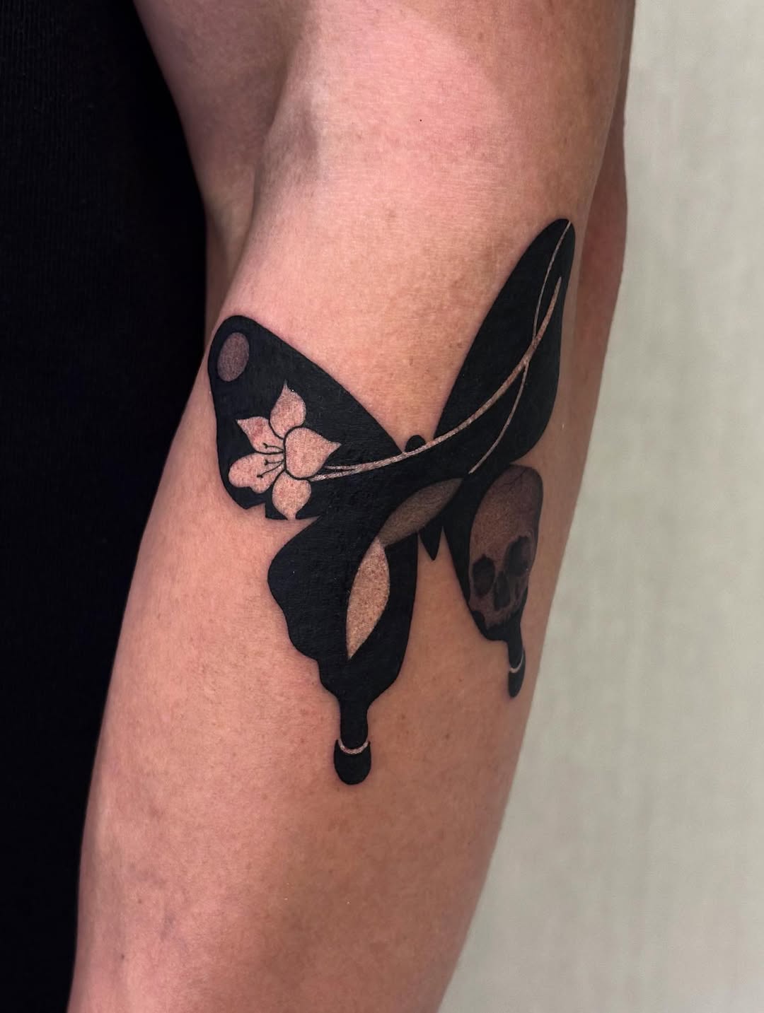 Animal, Nature