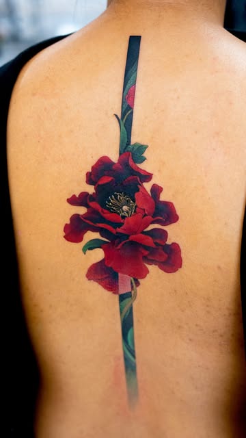Flower, Rose, Nature