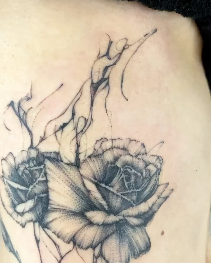 Flower, Rose, Nature