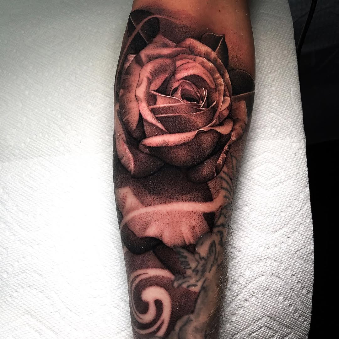 Flower, Rose