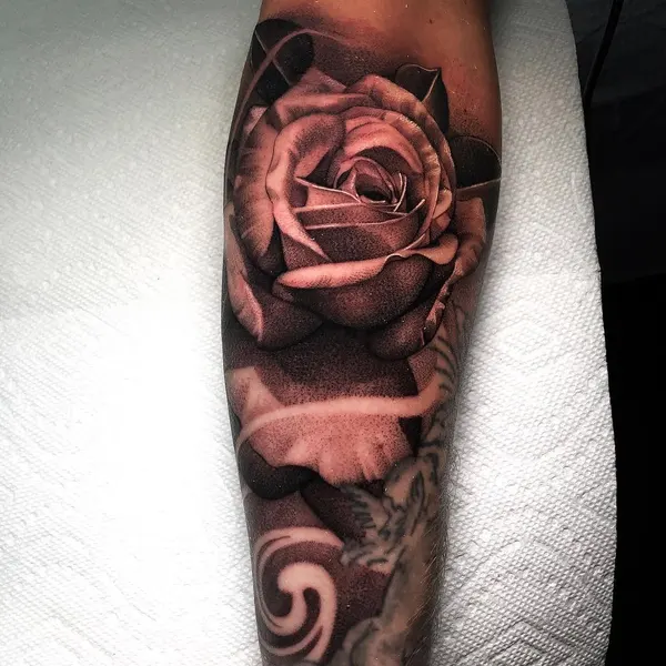 Flower, Rose