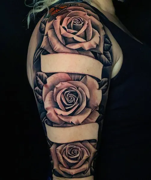 Flower, Rose, Nature