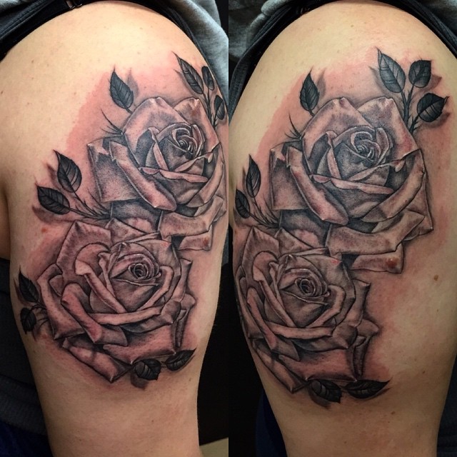 Flower, Rose