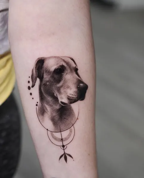 Animal
