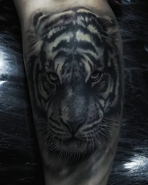 Tiger, 중국 호랑이