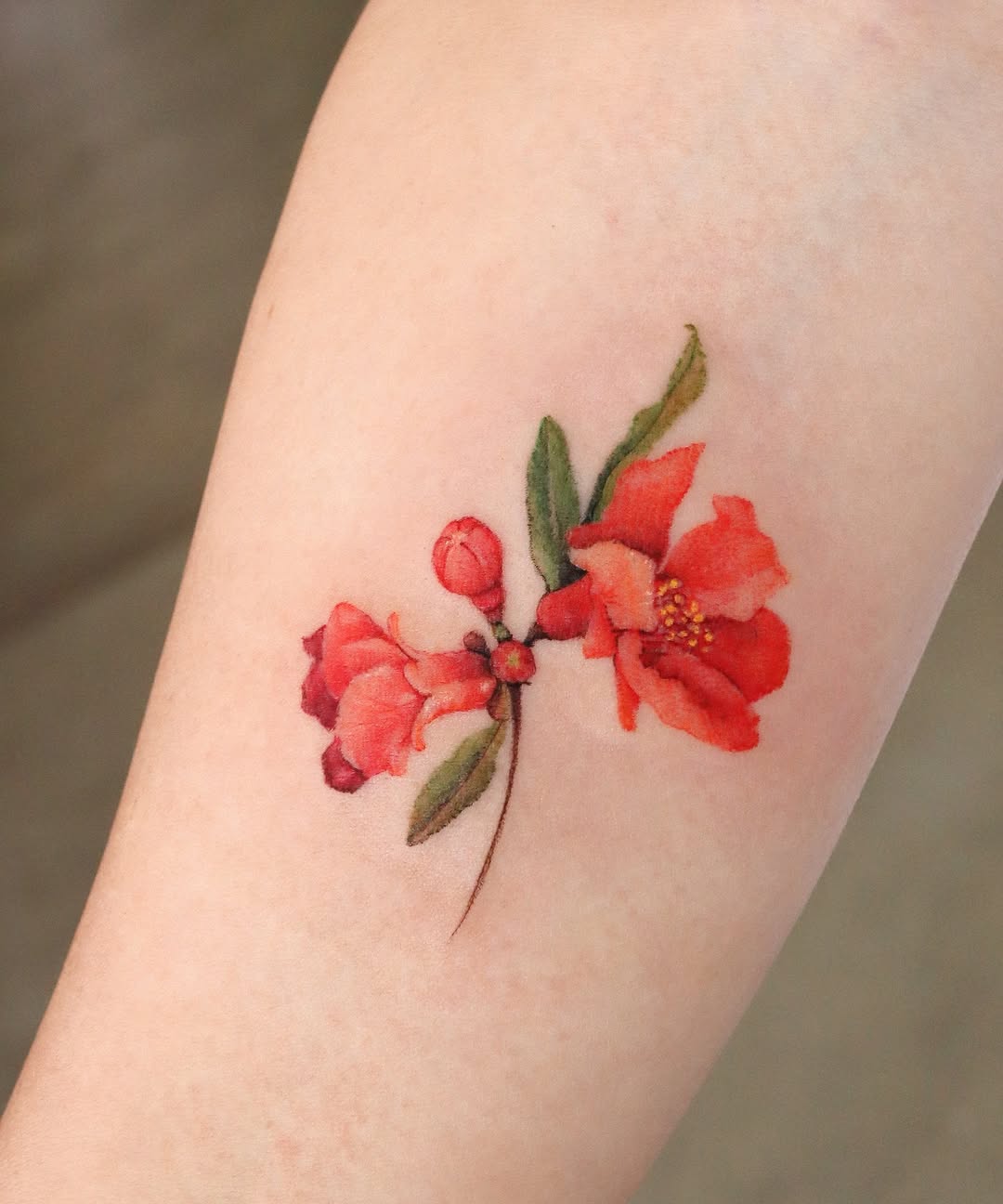 Animal, Nature, Flower