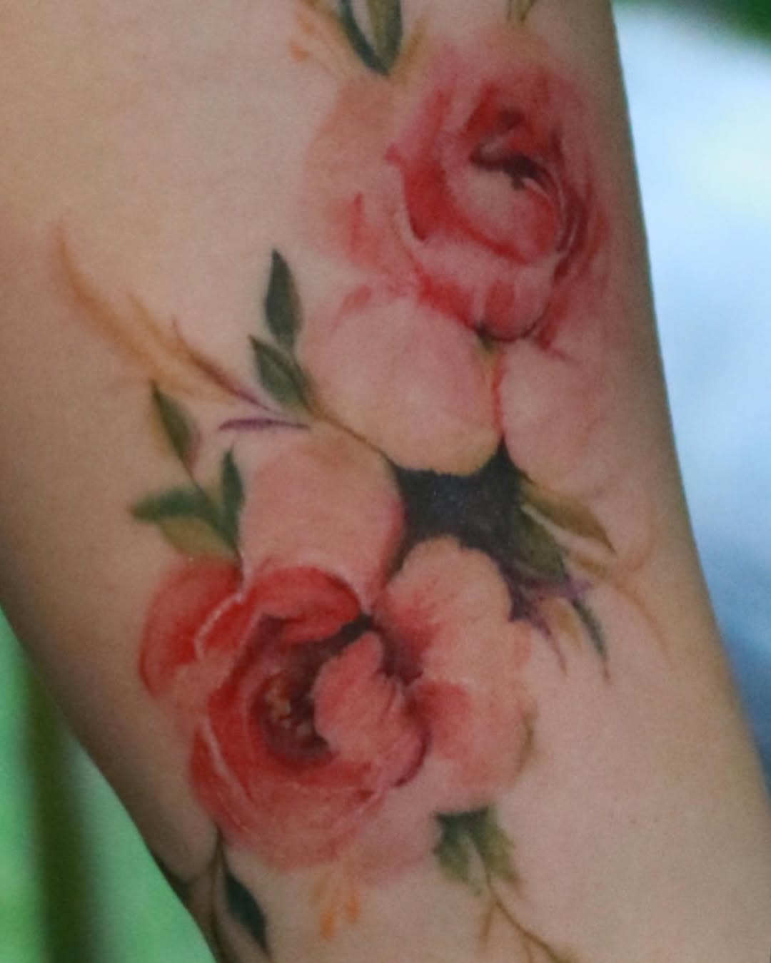 Flower, Rose