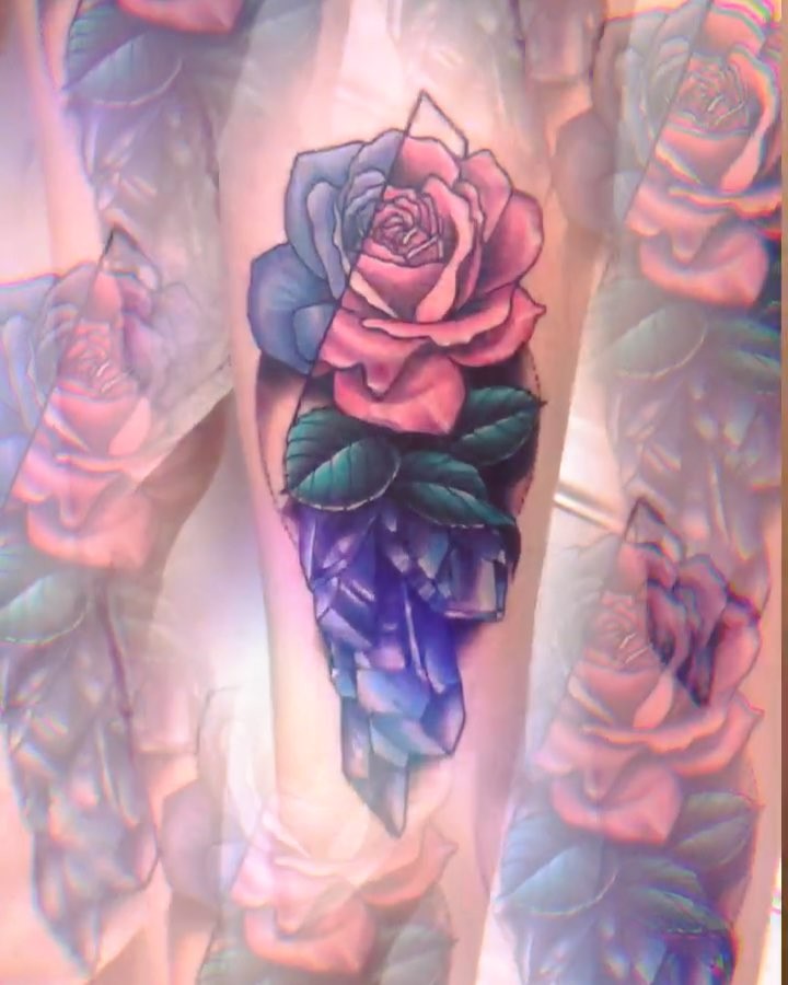 Flower, Rose