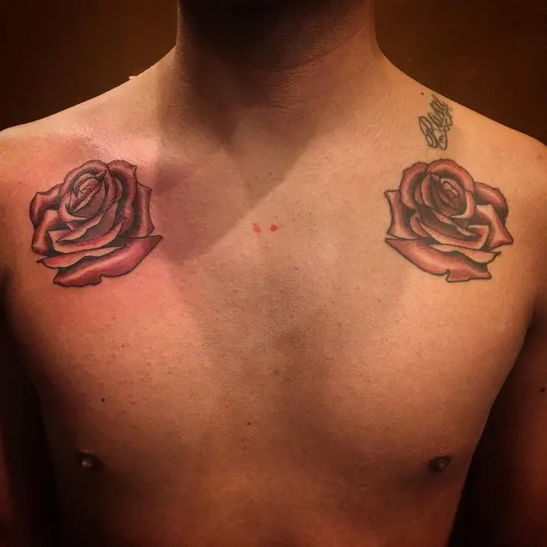 Flower, Rose, Nature