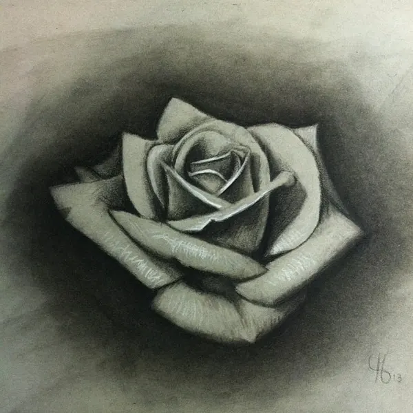 Flower, Rose