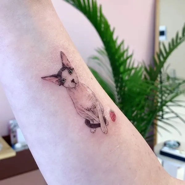 paw.tattoo