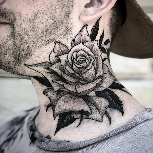 Flower, Rose, Nature