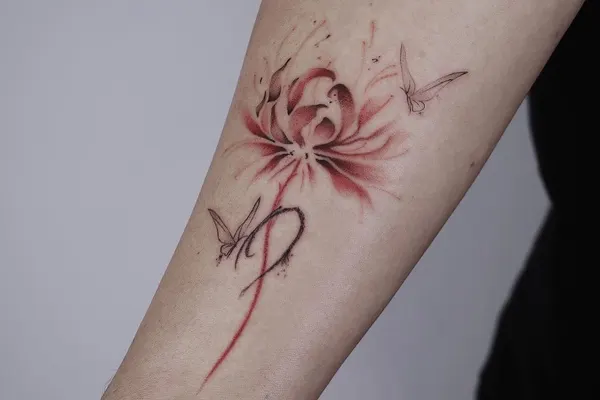 Rose, Nature, Flower