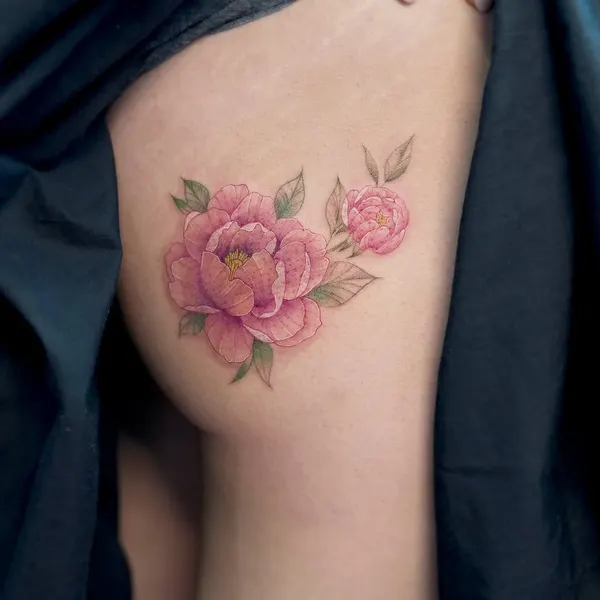 Flower, Rose, Nature