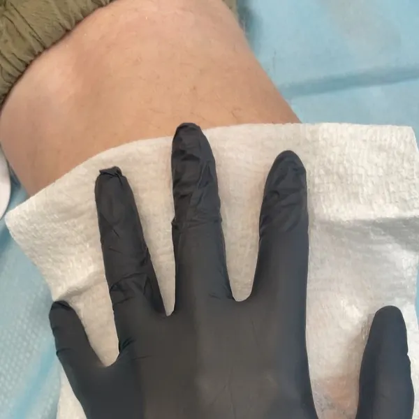 매미