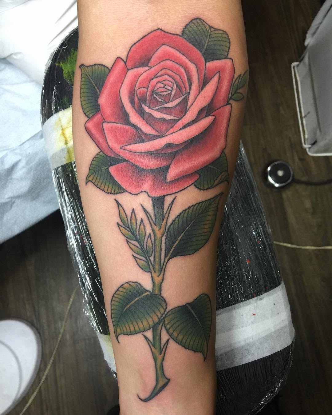 Flower, Rose
