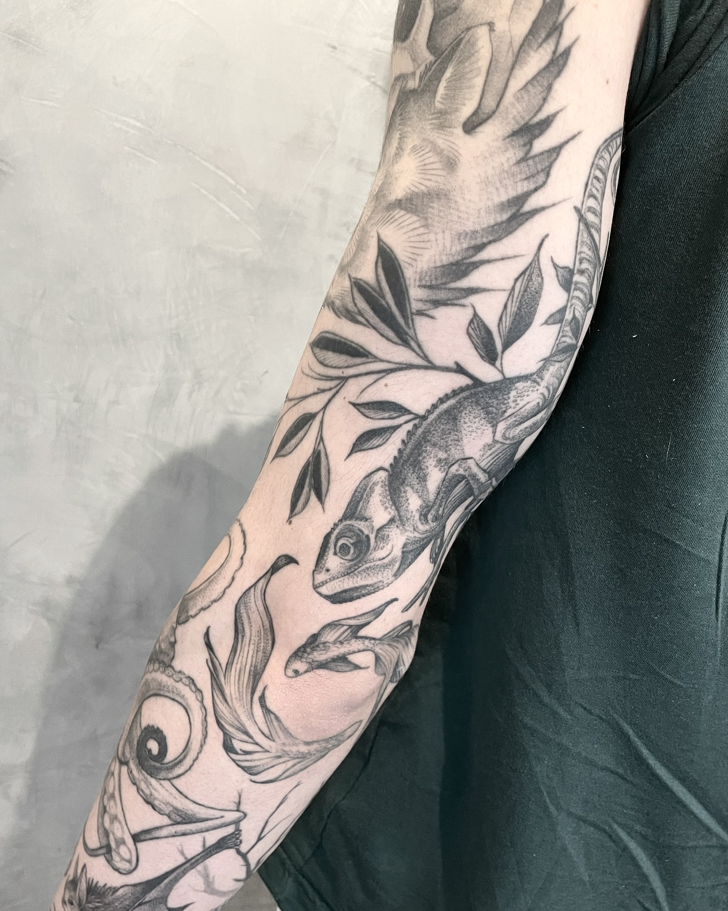 leo_marsiglia