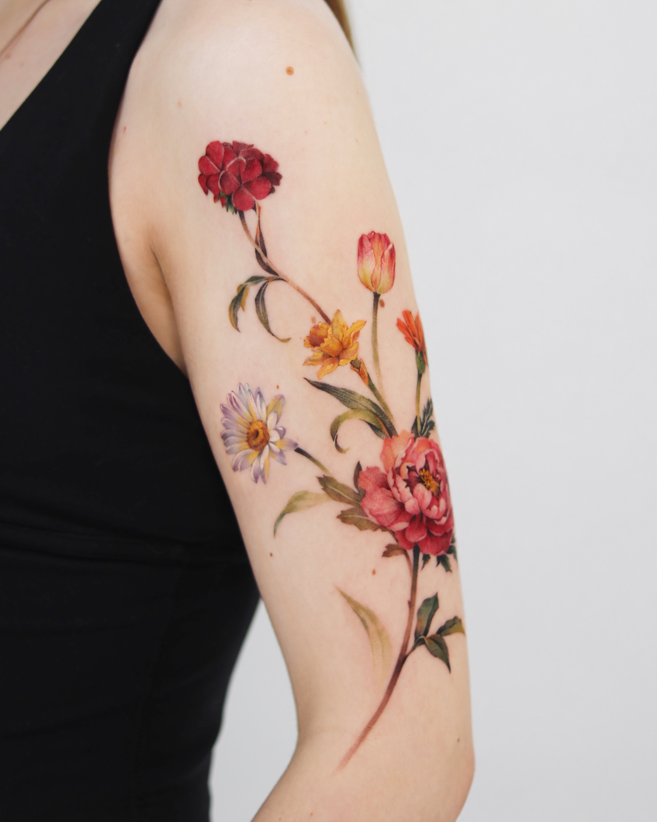 Flower, Rose, Nature