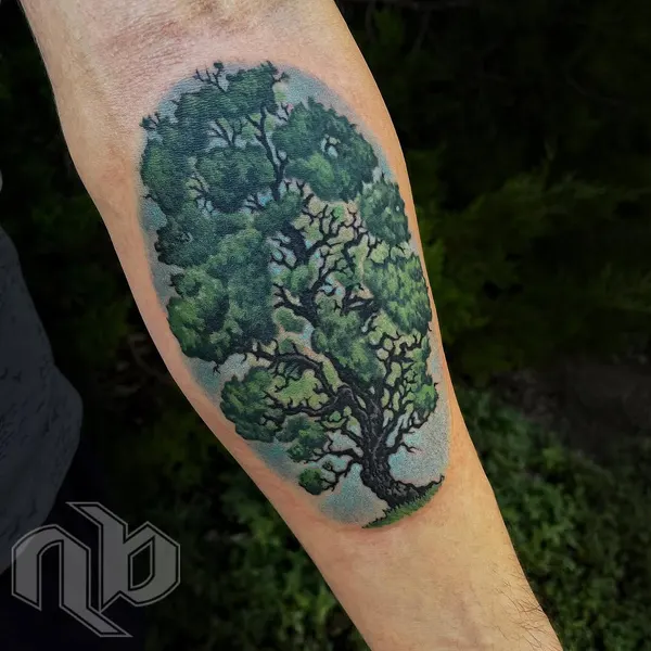 Nature, 나무, 소나무