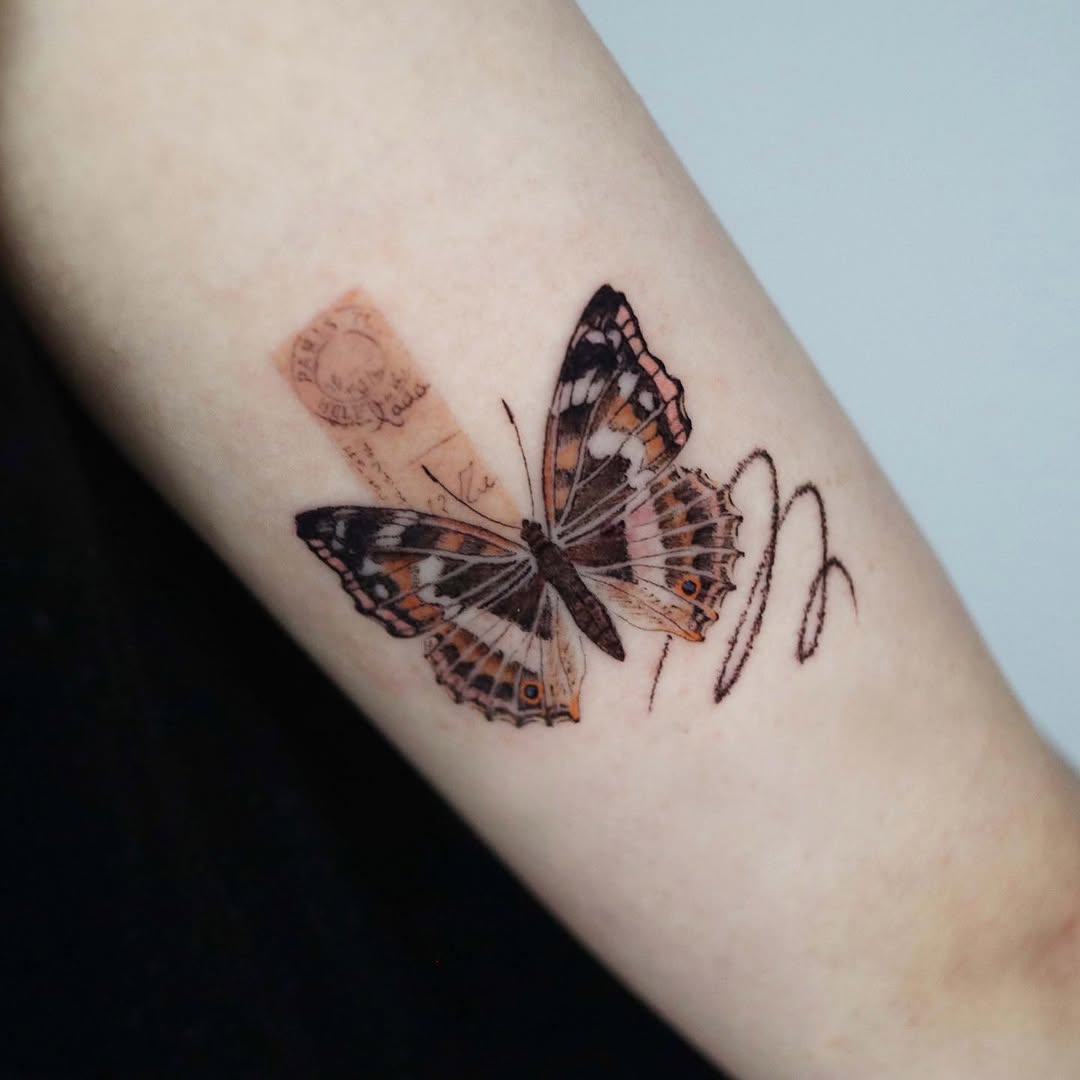 Animal, Nature