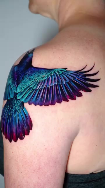 Animal