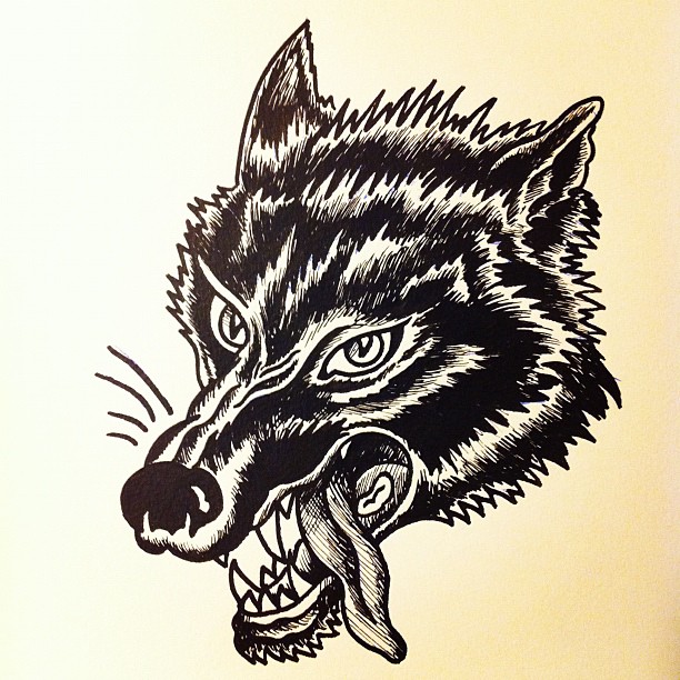 Tiger, Animal