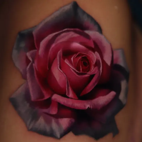 Flower, Rose
