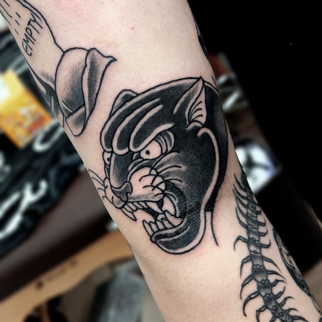 Animal, Tiger