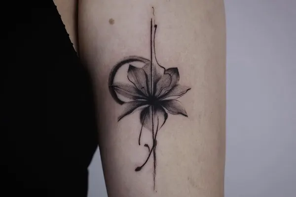 Rose, Nature, Flower