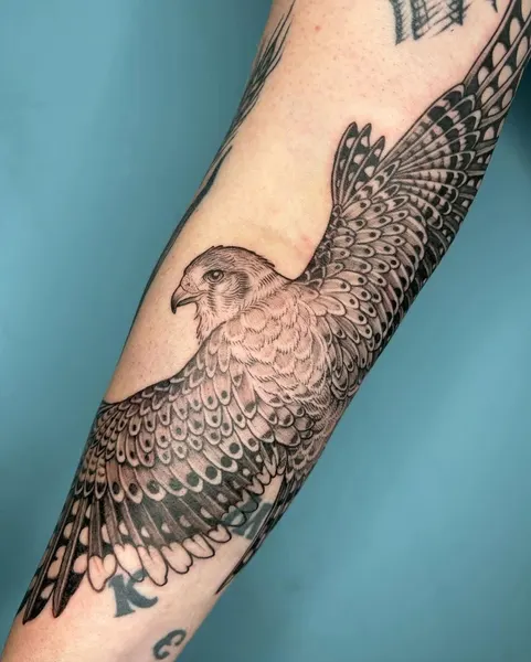 Animal