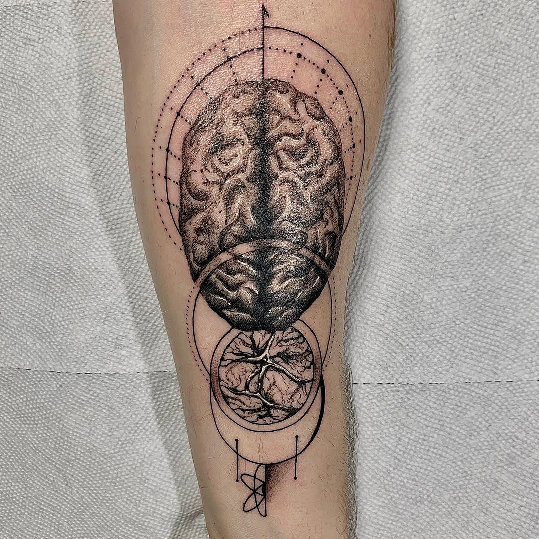 Snake, Animal