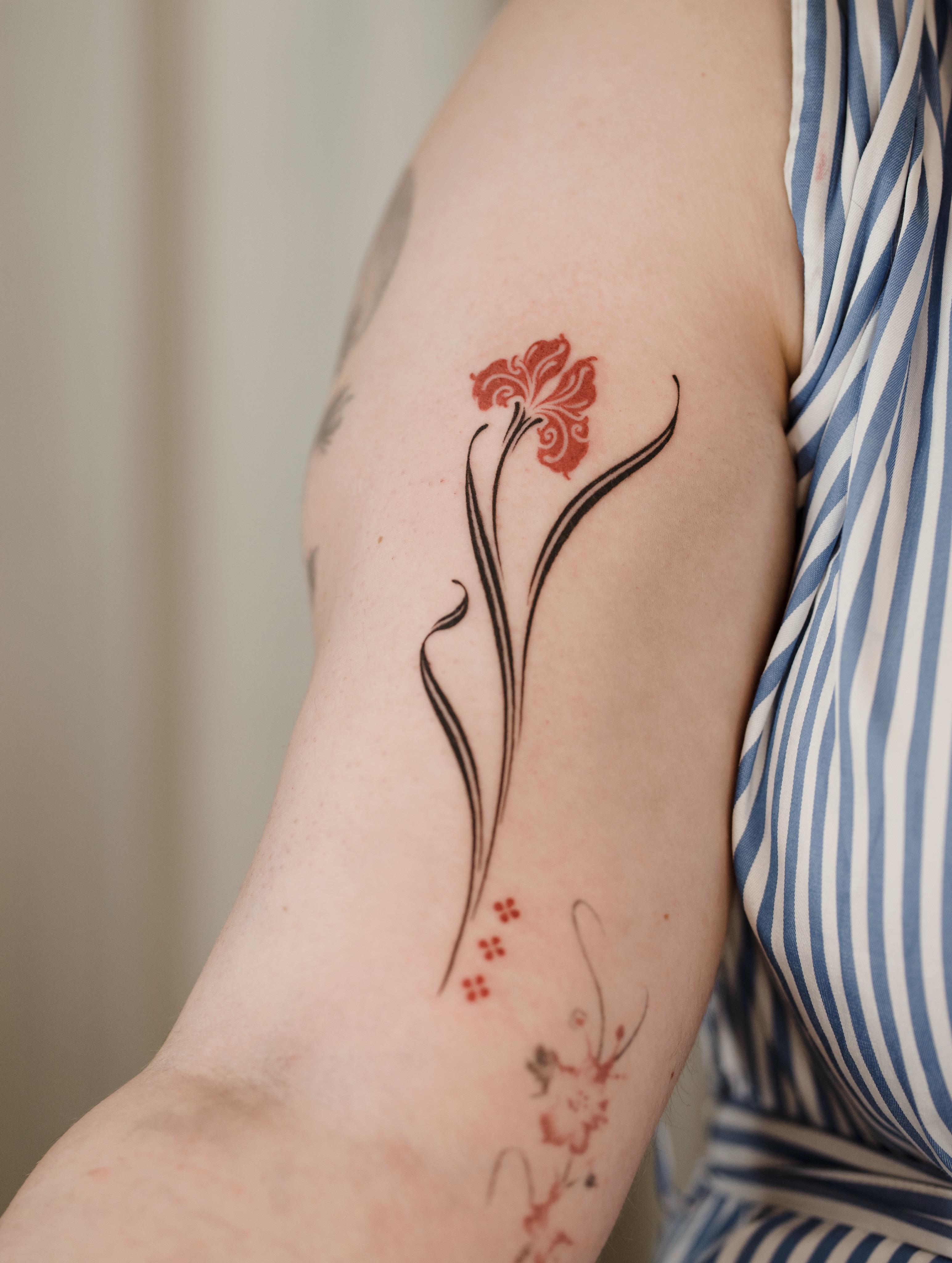 Flower, Rose