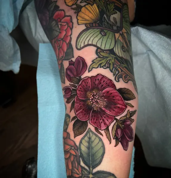 Flower, Rose