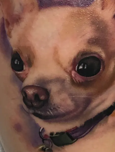yogi_barrett